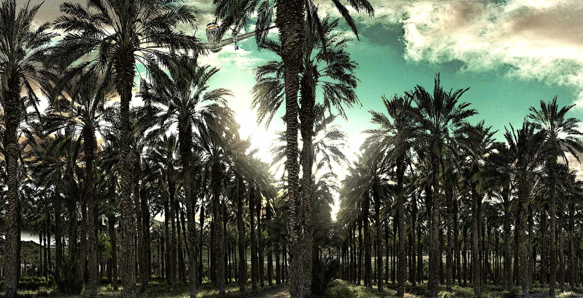 3-Website-Postcard-for-web